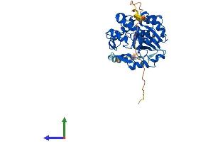 Protein Structure (PS) image for Sulfotransferase Family, Cytosolic, 2B, Member 1 (SULT2B1) (AA 1-365) protein (His tag) (ABIN7546396)