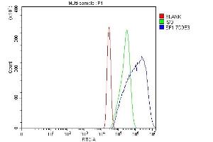 Flow Cytometry analysis of Neuro-2a cells using anti-splicing factor 1 antibody (ABIN7600194).