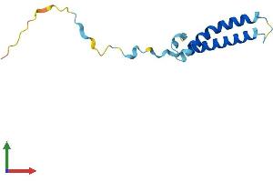 Protein Structure (PS) image for Chromosome 20 Open Reading Frame 30 (C20orf30) (AA 1-120) protein (His tag) (ABIN7544690)