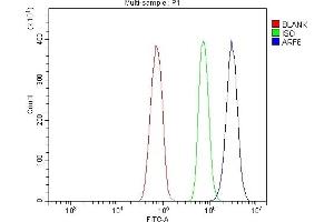 Flow Cytometry analysis of RH35 cells using anti-ARF6 antibody (ABIN7602413). (ARF6 抗体  (AA 75-175))