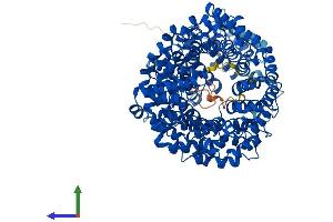 AlphaFold protein structure predicition of Mouse Recombinant Tnpo1 Protein, UniprotID Q8BFY9