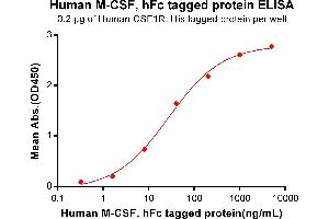 ELISA image for Colony Stimulating Factor 1 (Macrophage) (CSF1) (AA 33-255) protein (Fc Tag) (ABIN7092715)