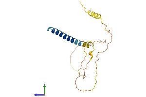 AlphaFold protein structure predicition of Human Recombinant FAM163B Protein, UniprotID P0C2L3 (FAM163B Protein (AA 1-166) (His tag))