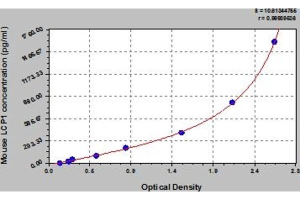 LCP1 ELISA 试剂盒