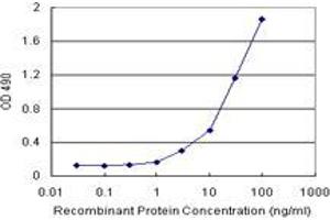 Sandwich ELISA detection sensitivity ranging from 1 ng/mL to 100 ng/mL. (ABCC10 (人) Matched Antibody Pair)