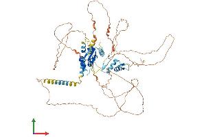 Protein Structure (PS) image for Zinc Finger and BTB Domain Containing 5 (ZBTB5) (AA 1-677) protein (His tag) (ABIN7545378)