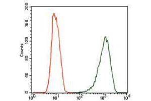 Flow cytometric analysis of MCF-7 cells using NOS2 mouse mAb (green) and negative control (red). (NOS2 抗体)