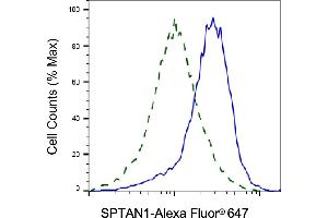 Validation of SPTAN1 knockdown using flow cytometry. (SPTAN1 抗体)