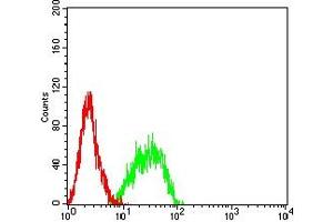 Flow cytometric analysis of Jurkat cells using CD45R mouse mAb (green) and negative control (red).