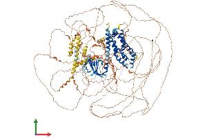 Protein Structure (PS) image for Pleckstrin Homology Domain Containing, Family G (With RhoGef Domain) Member 2 (PLEKHG2) (AA 1-1386) protein (His tag) (ABIN7554954)
