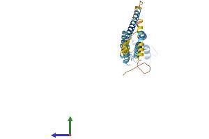 Protein Structure (PS) image for Gap Junction Protein, beta 1, 32kDa (GJB1) (AA 1-283) protein (His tag) (ABIN7546910)