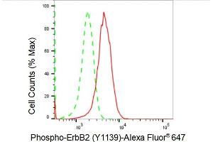 Flow cytometric analysis of Phospho-ErbB2 (Y) expression in HeLa cells using Phospho-ErbB2 (Y) antibody (ABIN7800159), 1:2,000). (Recombinant ErbB2/Her2 抗体  (pTyr1139))