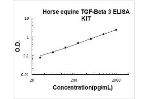 Transforming Growth Factor, beta 3 (TGFB3) ELISA Kit