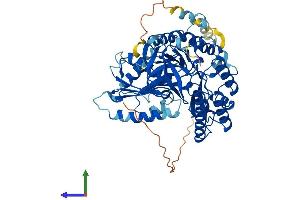 Protein Structure (PS) image for CDK5 Regulatory Subunit Associated Protein 1 (CDK5RAP1) (AA 1-588) protein (His tag) (ABIN7558886)