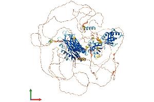 AlphaFold protein structure predicition of Human Recombinant TNS3 Protein, UniprotID Q68CZ2