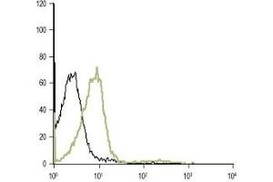 Flow Cytometry (FACS) image for anti-Adrenergic Receptor, alpha 1d (ADRA1D) (AA 231-245), (C240S), (Extracellular) antibody (ABIN7042896)