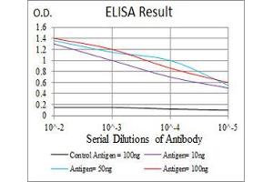 Black line: Control Antigen (100 ng), Purple line: Antigen(10 ng), Blue line: Antigen (50 ng), Red line: Antigen (100 ng), (TTR 抗体  (AA 1-147))