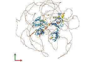 Protein Structure (PS) image for Interleukin 16 (IL16) (AA 1-1332) protein (His tag) (ABIN7554157)