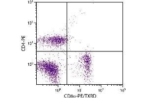 BALB/c mouse splenocytes were stained with Rat Anti-Mouse CD8α-PE/TXRD. (CD8 alpha 抗体  (PE,Texas Red (TR)))