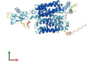 Protein Structure (PS) image for Organic Cation Transporter 3 (OCT3) (AA 1-556) protein (His tag) (ABIN7545875)