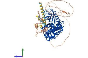 Protein Structure (PS) image for SRSF Protein Kinase 1 (SRPK1) (AA 1-648) protein (His tag) (ABIN7562562)