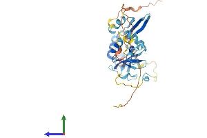 Protein Structure (PS) image for Chromosome 18 Open Reading Frame 10 (C18orf10) (AA 1-300) protein (His tag) (ABIN7544546)