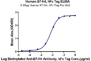 ELISA image for V-Set Domain Containing T Cell Activation Inhibitor 1 (VTCN1) (AA 29-258) protein (Fc Tag) (ABIN7273961)