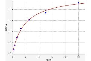 Typical standard curve (P4HB ELISA 试剂盒)