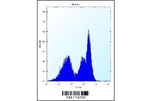 Flow cytometric analysis of Ramos cells (right histogram) compared to a negative control cell (left histogram). (ZAP70 抗体  (AA 276-304))