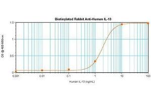 Image no. 1 for anti-Interleukin 13 (IL13) antibody (Biotin) (ABIN464961) (IL-13 抗体  (Biotin))
