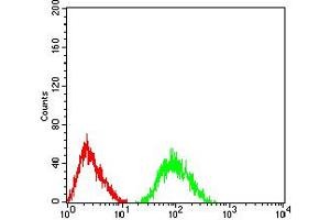 Flow Cytometry (FACS) image for anti-Glutamate Receptor, Metabotropic 7 (GRM7) (AA 454-590) antibody (ABIN5611160)