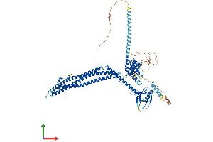 Protein Structure (PS) image for Adaptor Protein, phosphotyrosine Interaction, PH Domain and Leucine Zipper Containing 1 (APPL1) (AA 1-707) protein (His tag) (ABIN7564651)