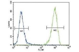 FLT3 antibody flow cytometric analysis of 293 cells (right histogram) compared to a negative control (left histogram). (FLT3 抗体  (AA 33-64))
