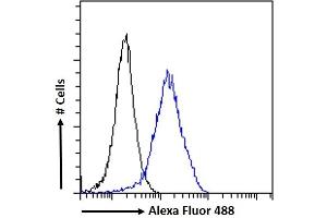 (ABIN185219) Flow cytometric analysis of paraformaldehyde fixed A431 cells (blue line), permeabilized with 0. (ACTR1A 抗体  (C-Term))