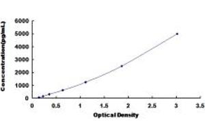 Typical standard curve (MYH8 ELISA 试剂盒)