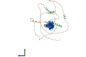 Protein Structure (PS) image for Paxillin (PXN) (AA 1-591) protein (His tag) (ABIN7550498)