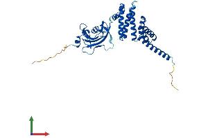 Protein Structure (PS) image for FK506 Binding Protein 6, 36kDa (FKBP6) (AA 1-327) protein (His tag) (ABIN7560096)