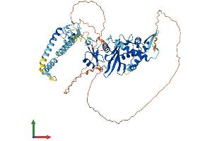 Protein Structure (PS) image for MYST Histone Acetyltransferase 2 (MYST2) (AA 1-613) protein (His tag) (ABIN7557544)