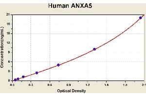 Diagramm of the ELISA kit to detect Human ANXA5with the optical density on the x-axis and the concentration on the y-axis.