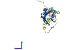 Protein Structure (PS) image for KISS1 Receptor (KISS1R) (AA 1-396) protein (His tag) (ABIN7559974)