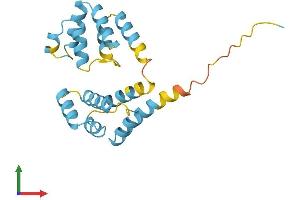 AlphaFold protein structure predicition of Mouse Recombinant Fadd Protein, UniprotID Q61160 (FADD Protein (AA 1-205) (His tag))