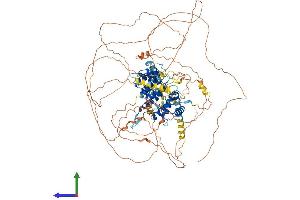 Protein Structure (PS) image for rho GTPase Activating Protein 6 (ARHGAP6) (AA 1-974) protein (His tag) (ABIN7555185)