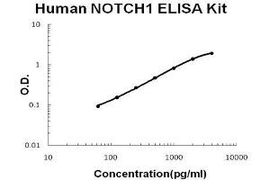 Human NOTCH1 PicoKine ELISA Kit standard curve (Notch1 ELISA 试剂盒)