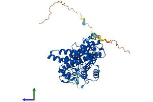 Protein Structure (PS) image for Tryptophan 2,3-Dioxygenase (TDO2) (AA 1-406) protein (His tag) (ABIN7563324)