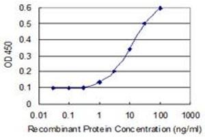 Detection limit for recombinant GST tagged BLZF1 is 0. (BLZF1 抗体  (AA 301-400))