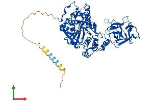 Protein Structure (PS) image for UDP-N-Acetyl-alpha-D-Galactosamine:polypeptide N-Acetylgalactosaminyltransferase 4 (GalNAc-T4) (GALNT4) (AA 1-578) protein (His tag) (ABIN7562211)