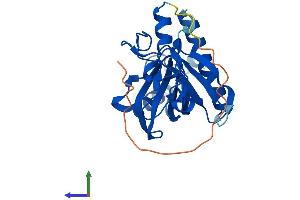 Protein Structure (PS) image for Pleckstrin Homology Domain Containing, Family F (With FYVE Domain) Member 2 (PLEKHF2) (AA 1-249) protein (His tag) (ABIN7550719)