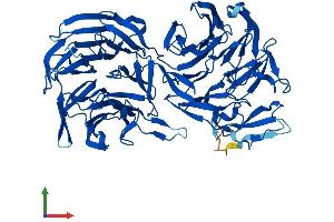 AlphaFold protein structure predicition of Human Recombinant EML2 Protein, UniprotID O95834