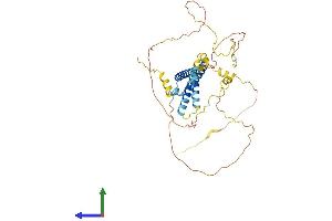 Protein Structure (PS) image for Basic Helix-Loop-Helix Family, Member E40 (BHLHE40) (AA 1-411) protein (His tag) (ABIN7562280)