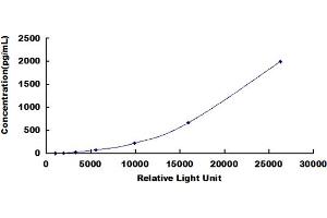 ELISA image for KIT Ligand (KITLG) CLIA Kit (ABIN491820)